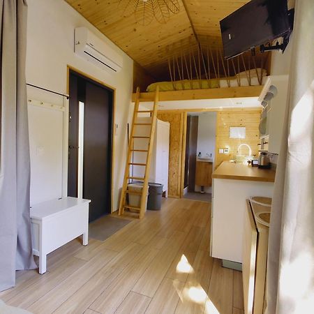Apartamenty Zabcia Гжибово Екстериор снимка